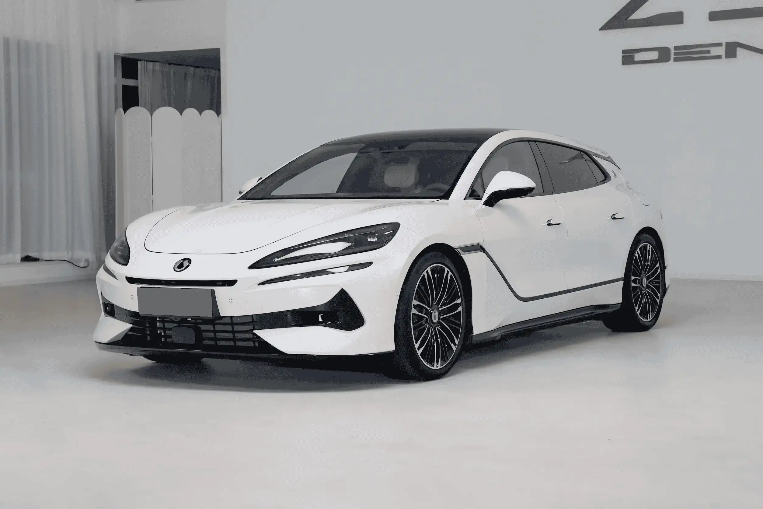  DENZA Z9GT DM