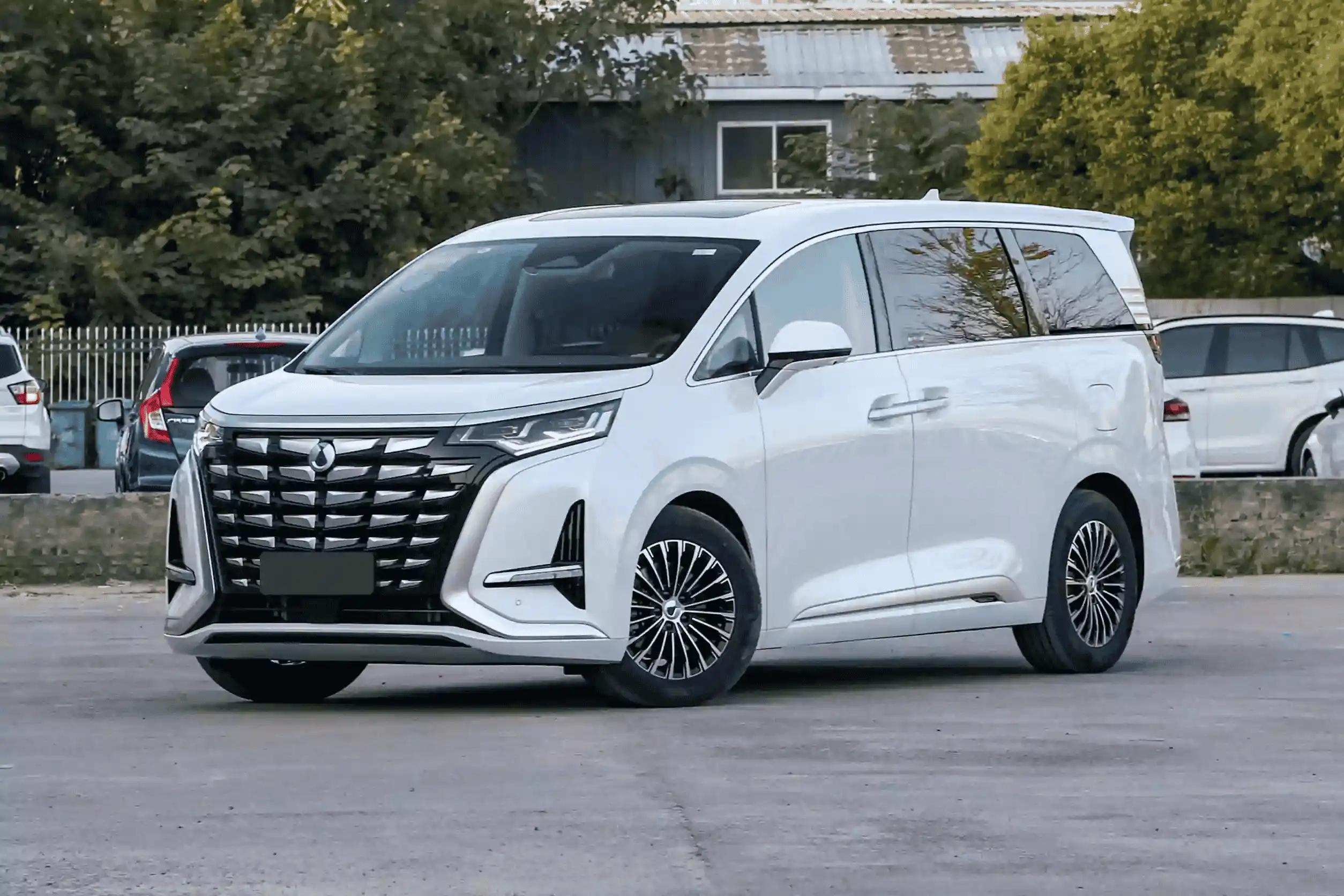  DENZA D9 DM-i